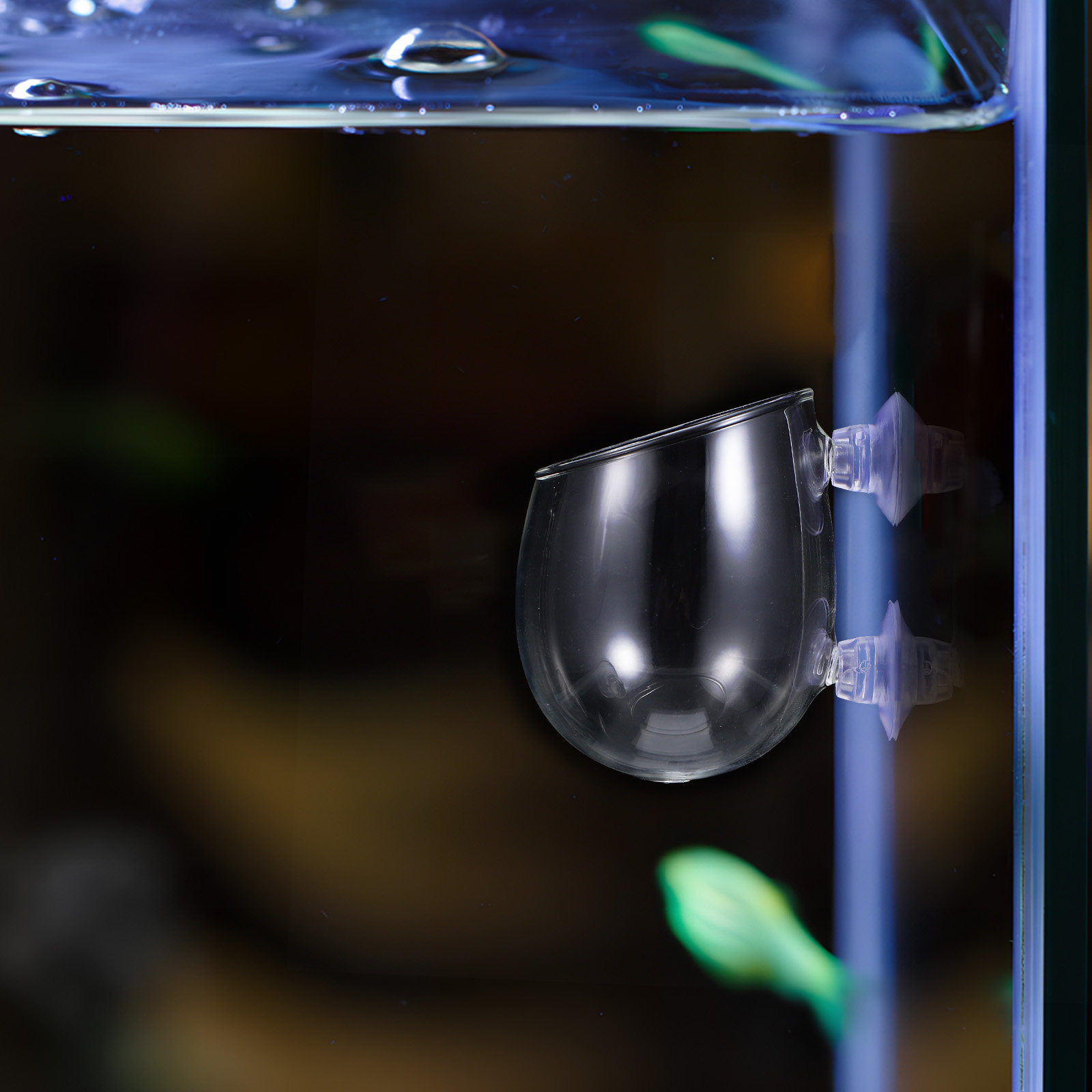 Aquarium Plant Live - 2Pcs Aquarium Plant Holders Water Landscape