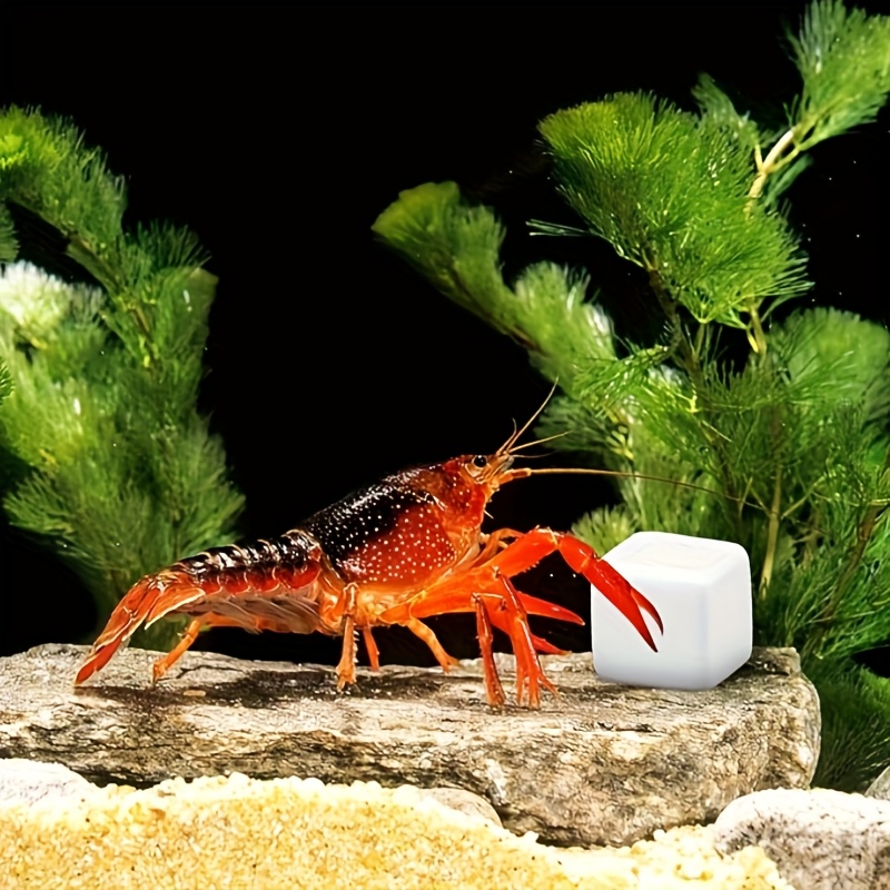 Aquarium Plant Liquid Fertilizer - 6 Pcs Fish Tank Calcium Block