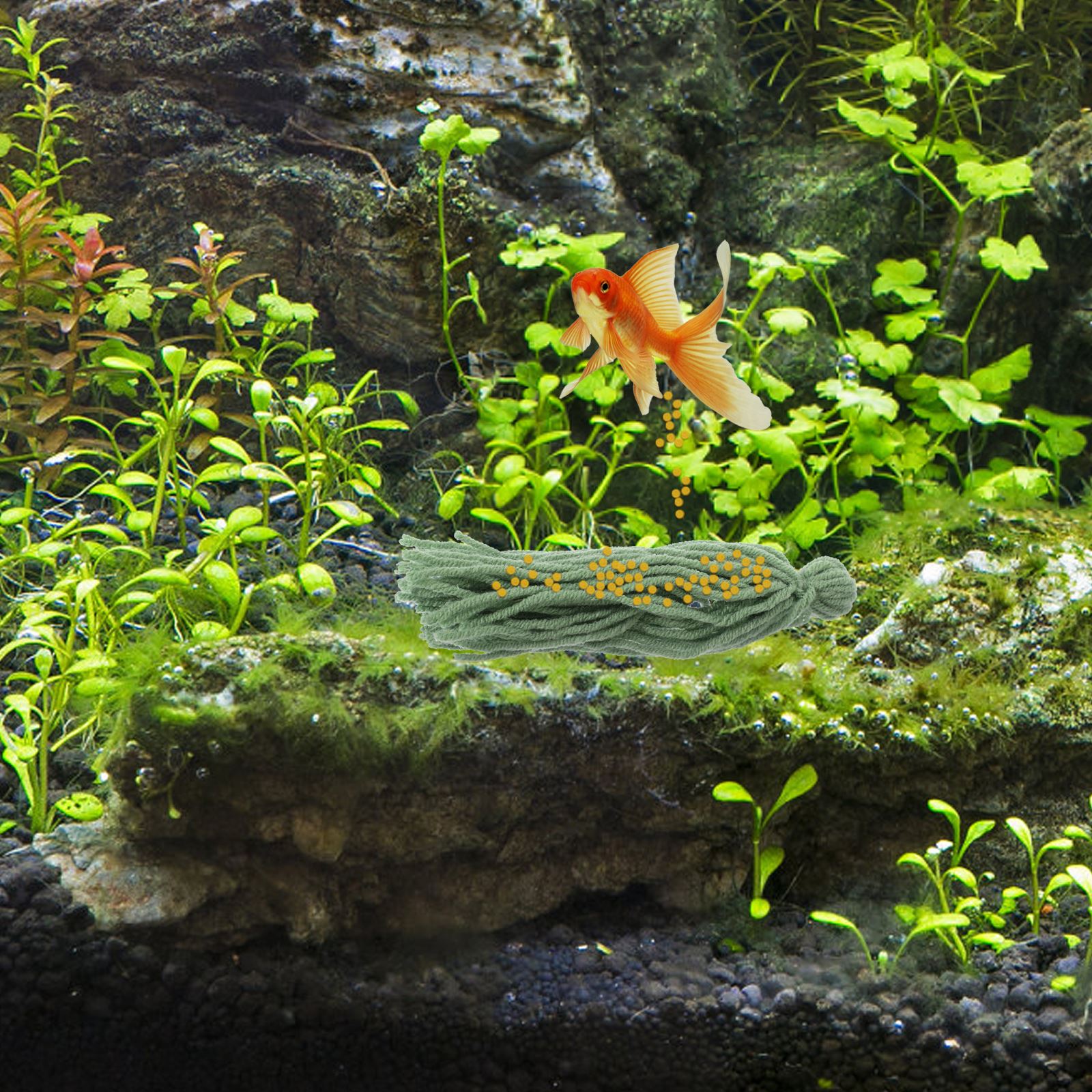 5pcs Fish Tank Spawning Breed  - огляд і ціна Aquarium Plant Liquid Fertilizer