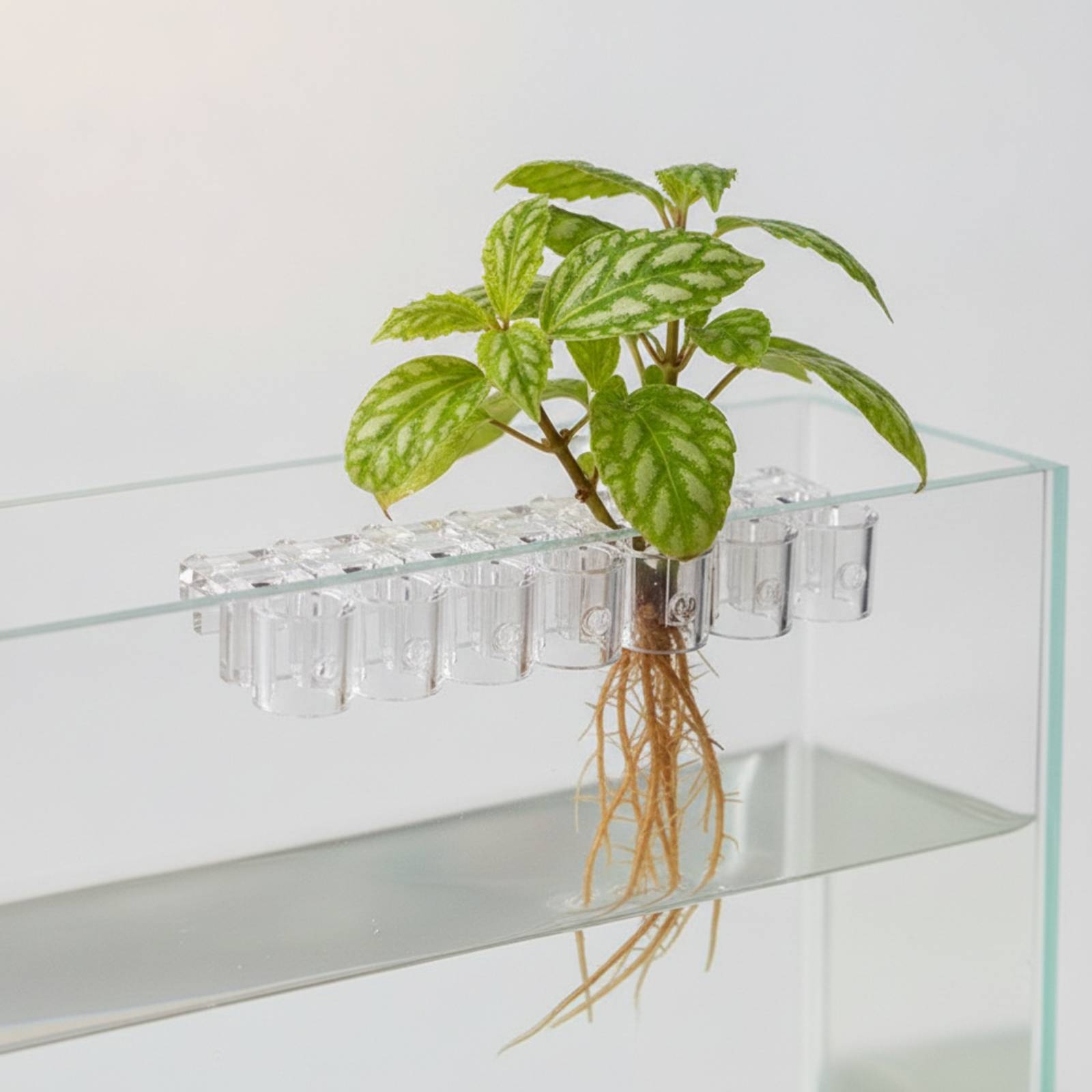 6 Pieces Aquarium Planter Clea - огляд і ціна Aquarium Plants