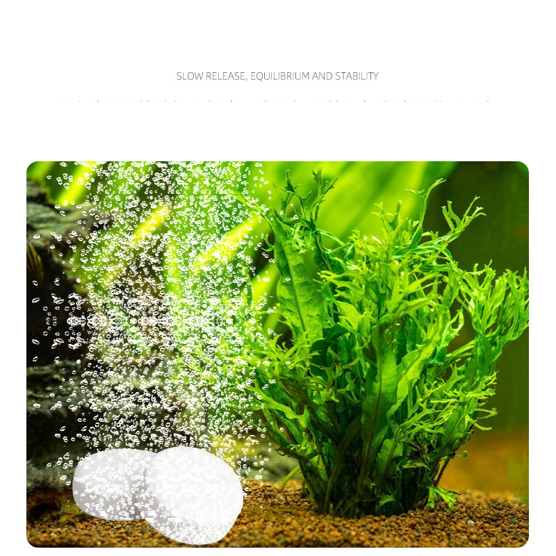 ISTA  Fish Tank Aquarium CO2 T - огляд і ціна Planted Aquarium Without Fish