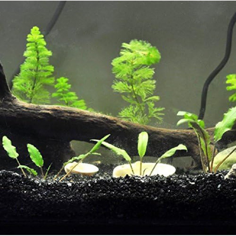 300g Gorgeous Aquarium Decorat - огляд і ціна Aquasoil Substrate