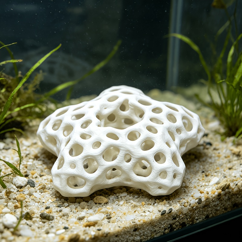 Hollowed-out Five-Pointed Star - огляд і ціна Planted Aquarium Without Fish