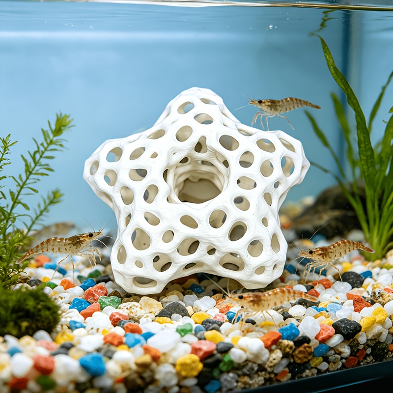 Hollowed-out Five-Pointed Star - огляд і ціна Planted Aquarium Without Fish