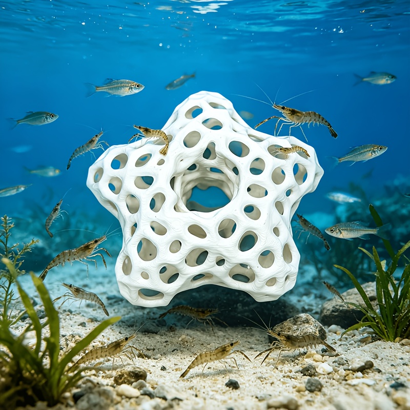 Hollowed-out Five-Pointed Star - огляд і ціна Planted Aquarium Without Fish