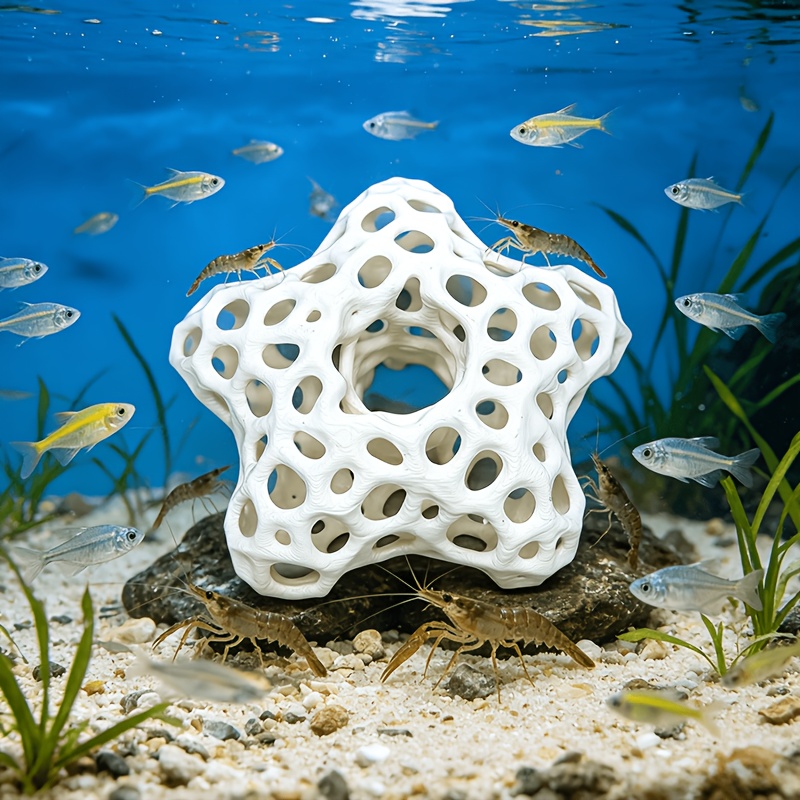 Hollowed-out Five-Pointed Star - огляд і ціна Planted Aquarium Without Fish