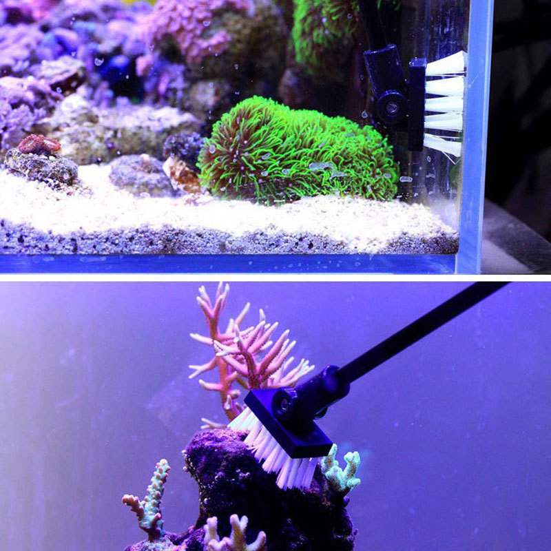 Fishing Cleaning Brush Plant T - огляд і ціна Planted Aquarium Freshwater