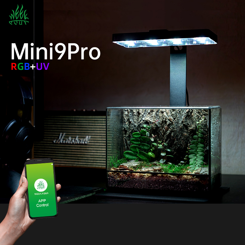 Hot Sale Mini9pro Nano Terrari - огляд і ціна Aquarium Plants For Sale