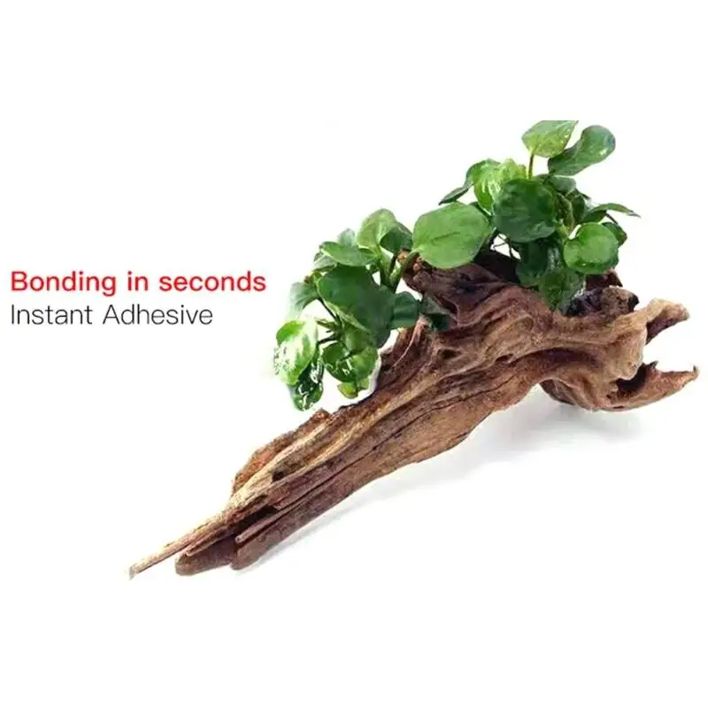 2PCS 5PCS /3/ Moss Clear Glues - огляд і ціна Planted Aquarium Moss