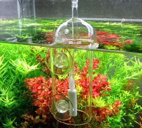 VIV Do Device Aquarium Cylinde - огляд і ціна Aquarium Plant Live