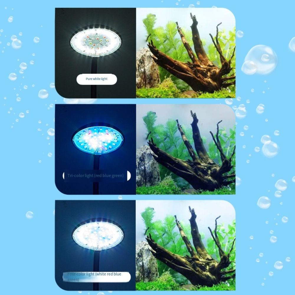 Mini Fish Tank Clip Lamp 360-D - огляд і ціна Aquarium Plant Live
