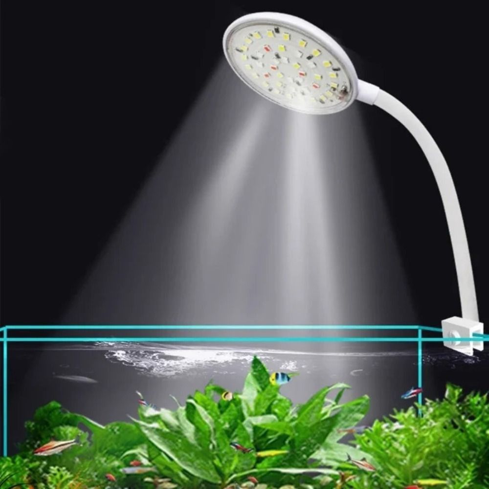 Mini Fish Tank Clip Lamp 360-D - огляд і ціна Aquarium Plant Live