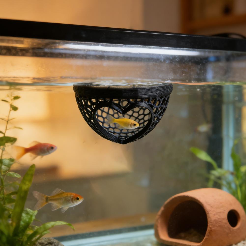 Heart-Shaped Aquarium Hideaway - огляд і ціна Planted Aquarium Without Fish