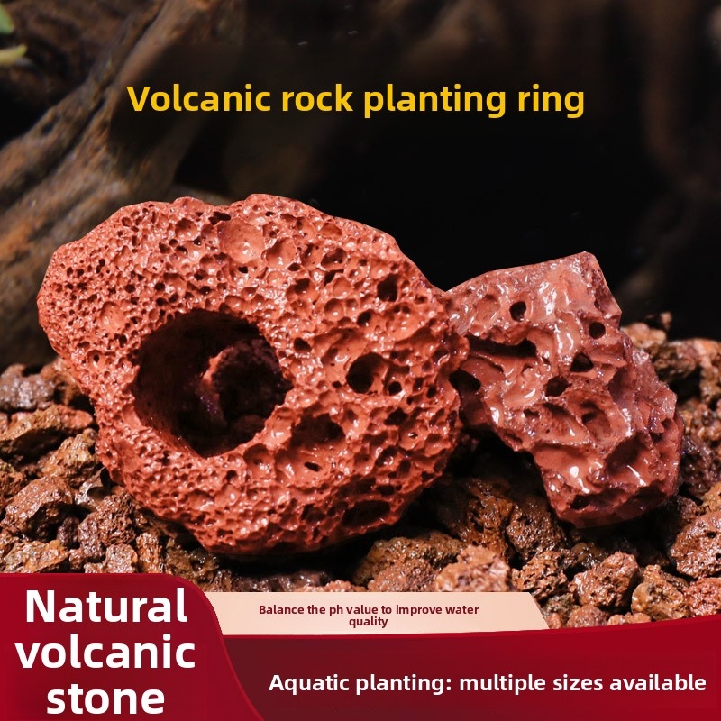 Red Lava Rock Planting Ring –  - огляд і ціна Planted Aquarium Carpet Plant