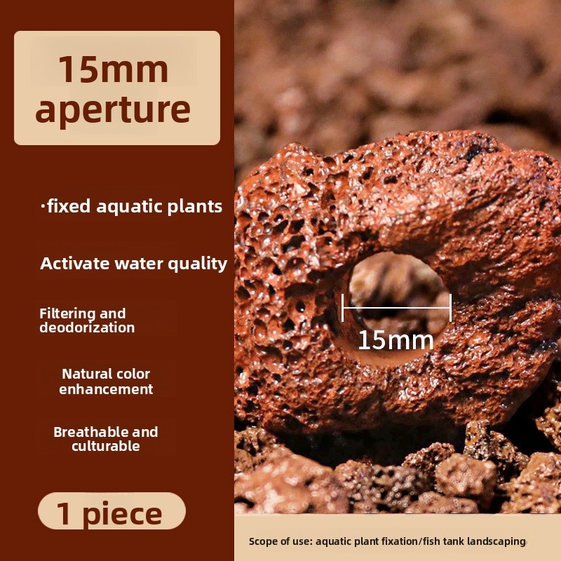 Red Lava Rock Planting Ring –  - огляд і ціна Planted Aquarium Carpet Plant