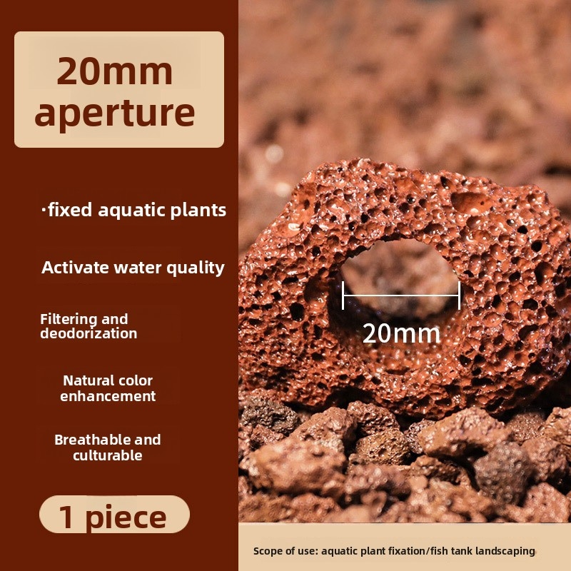 Red Lava Rock Planting Ring –  - огляд і ціна Planted Aquarium Carpet Plant