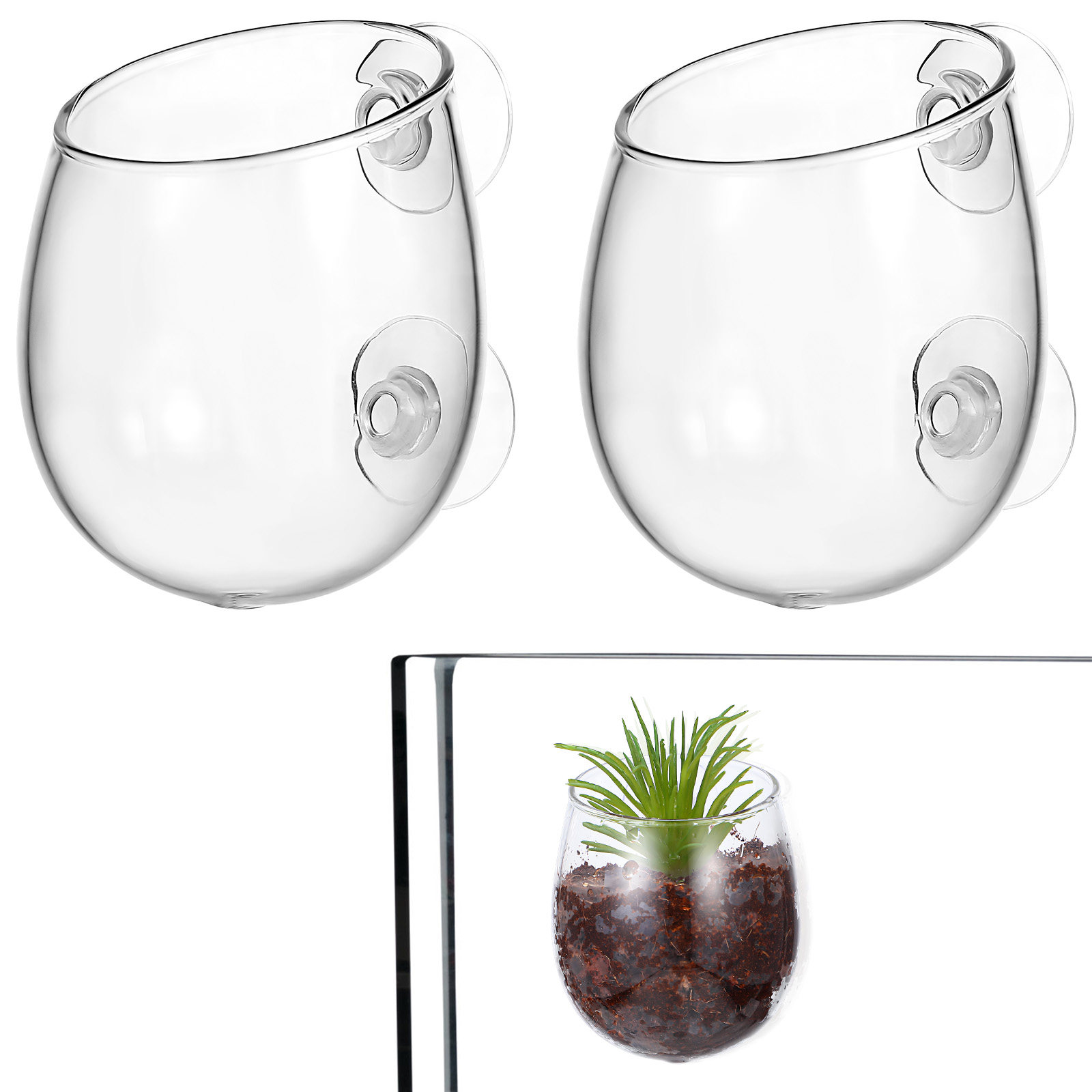 2Pcs Aquarium Plant Holders Wa - огляд і ціна Aquarium Plant Live