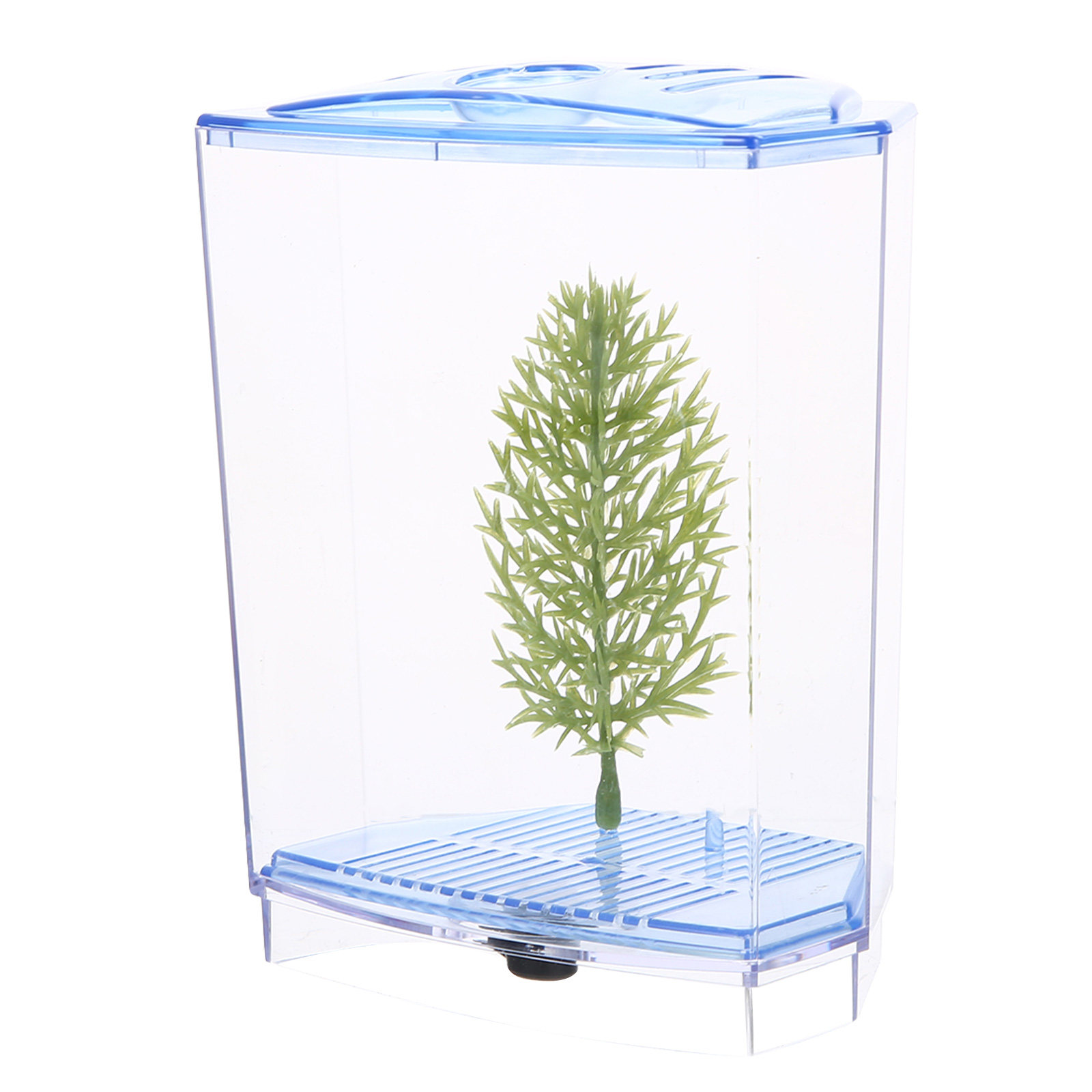 Mini Fish Clear Plastic Aquari - огляд і ціна Aquarium Plant Live