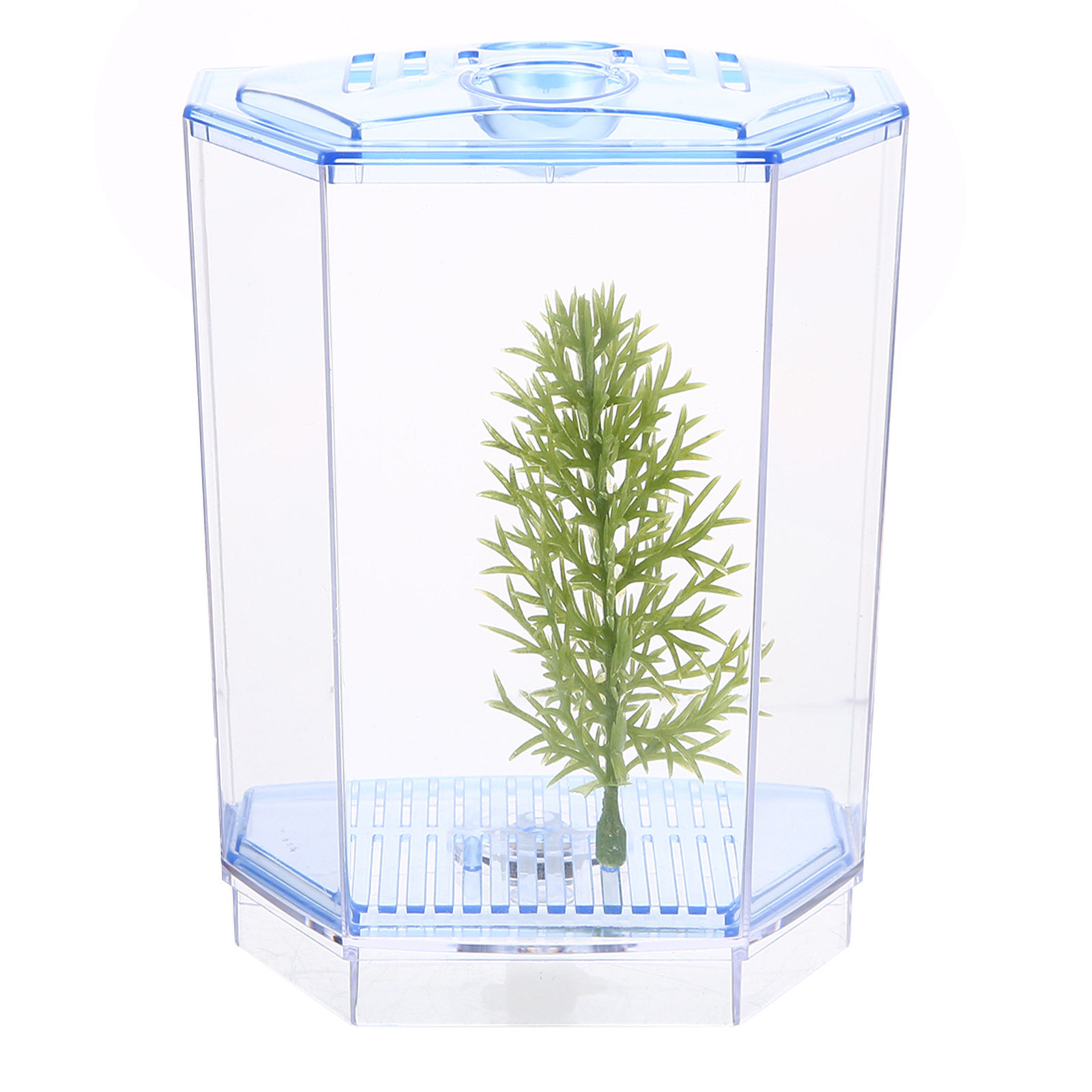 Mini Fish Clear Plastic Aquari - огляд і ціна Aquarium Plant Live