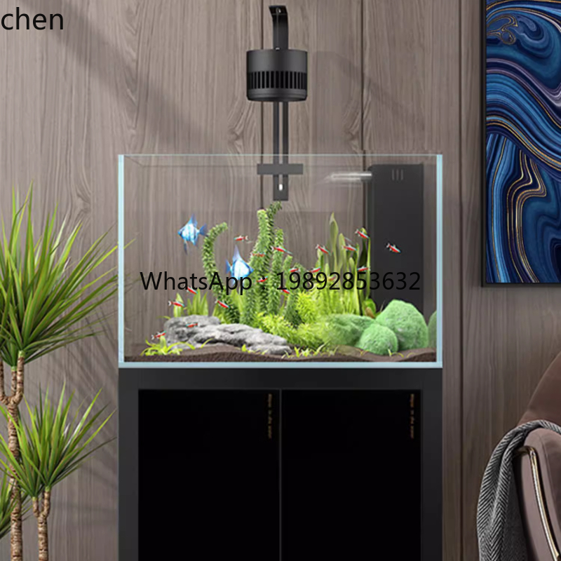 YGG  household living room laz - огляд і ціна Aquarium Plant Live