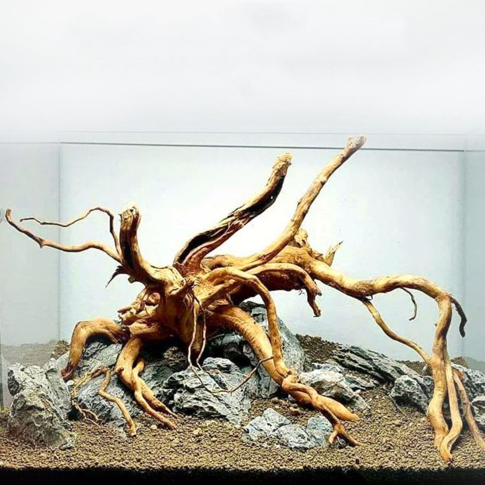 Natural Tree Trunk Aquarium De - огляд і ціна Aquarium Planted Tree