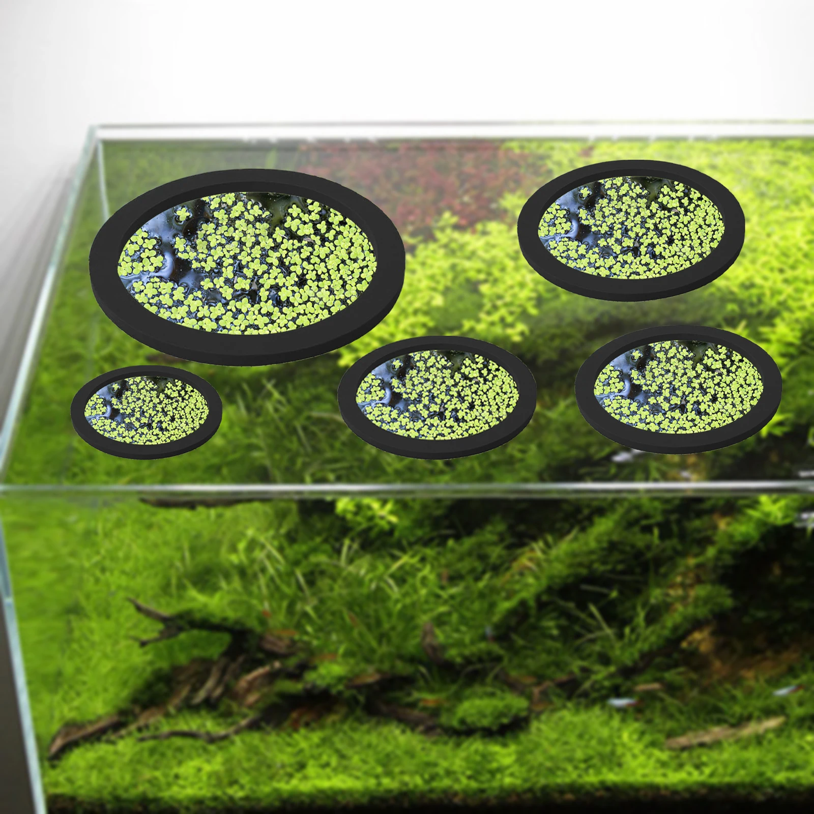 5Pcs EVA Fish Feeding Ring Aqu - огляд і ціна Aquarium Plants