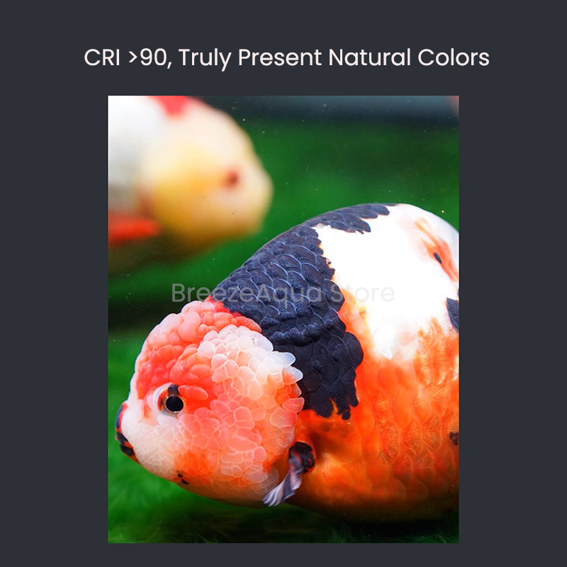 MAYIN Super Colour 100W Freshw - огляд і ціна Planted Aquarium Freshwater