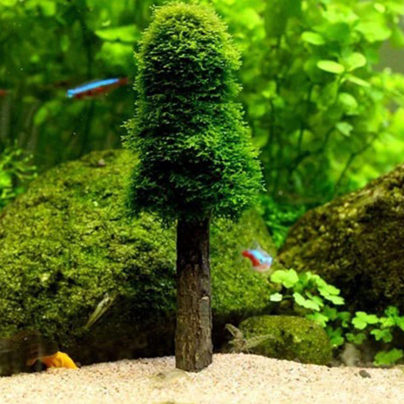 Aquarium Tank Landscape Decor  - огляд і ціна Planted Aquarium Moss