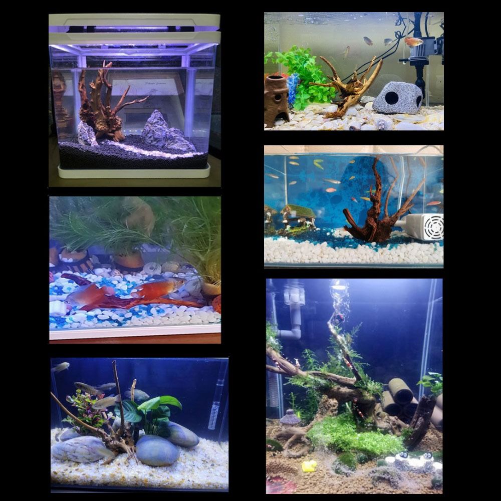 20-25CM Large Aquarium Driftwo - огляд і ціна Aquarium Planted Tree