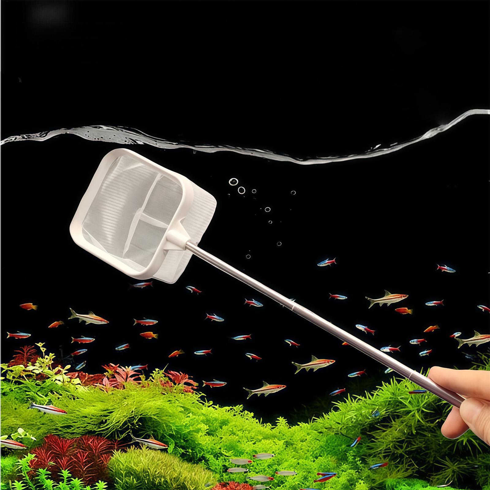 Extendable Long Handle Fine Me - огляд і ціна Aquarium Planted Tree