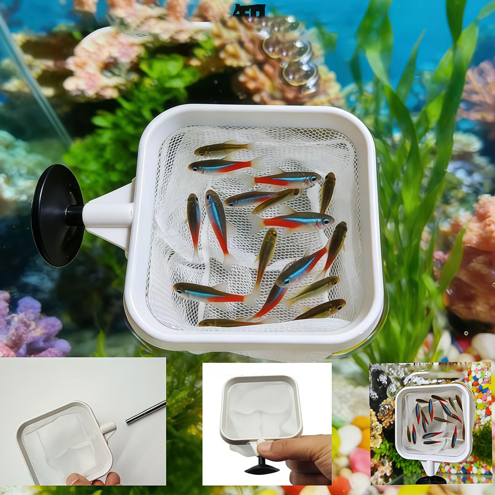 Extendable Long Handle Fine Me - огляд і ціна Aquarium Planted Tree
