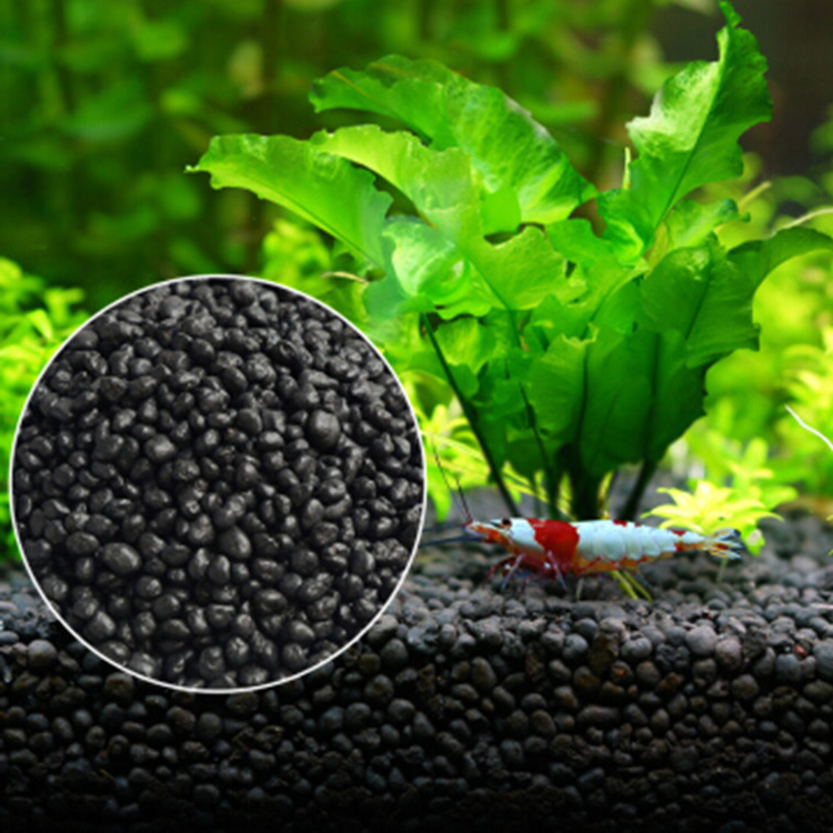 Aquarium Plant Seeds Soil Fish - огляд і ціна Planted Aquarium Moss