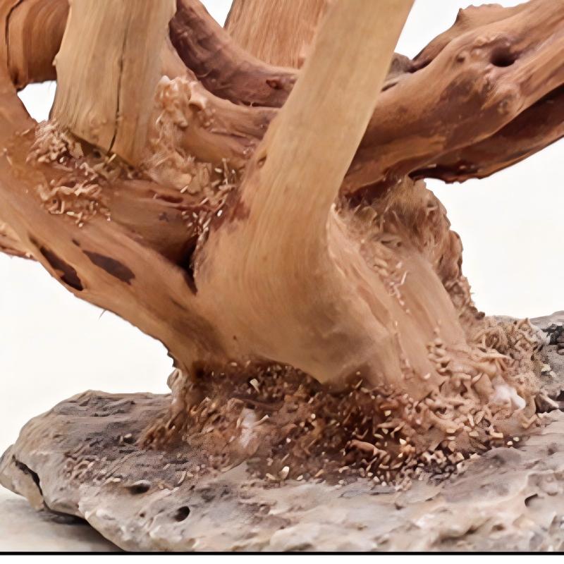 1PC Aquarium Landscaping Wood  - огляд і ціна Aquarium Planted Tree