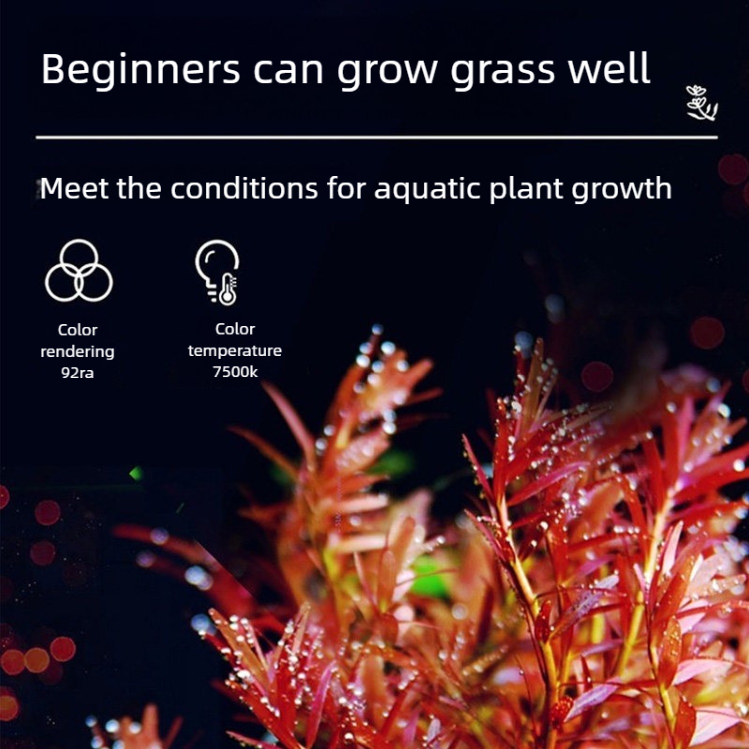 LED Aquarium Light for 12 Inch - огляд і ціна Planted Aquarium Freshwater