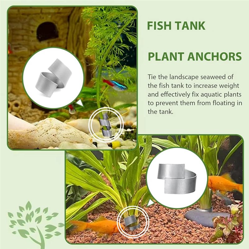 LLCS-Plant Fixed Ring Base For - огляд і ціна Aquarium Plant Live
