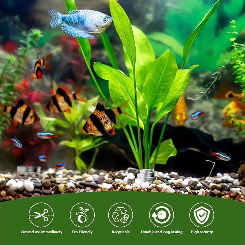 LLCS-Plant Fixed Ring Base For - огляд і ціна Aquarium Plant Live