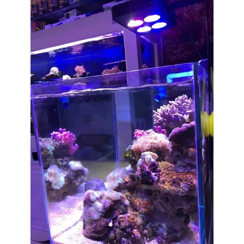 Gako A052 52w Hot Sale Aquariu - огляд і ціна Aquarium Plants For Sale