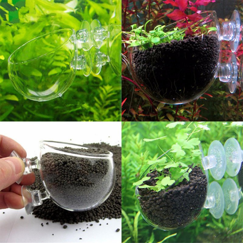 Aquarium Hanging Plant Pot Gla - огляд і ціна Planted Aquarium Moss