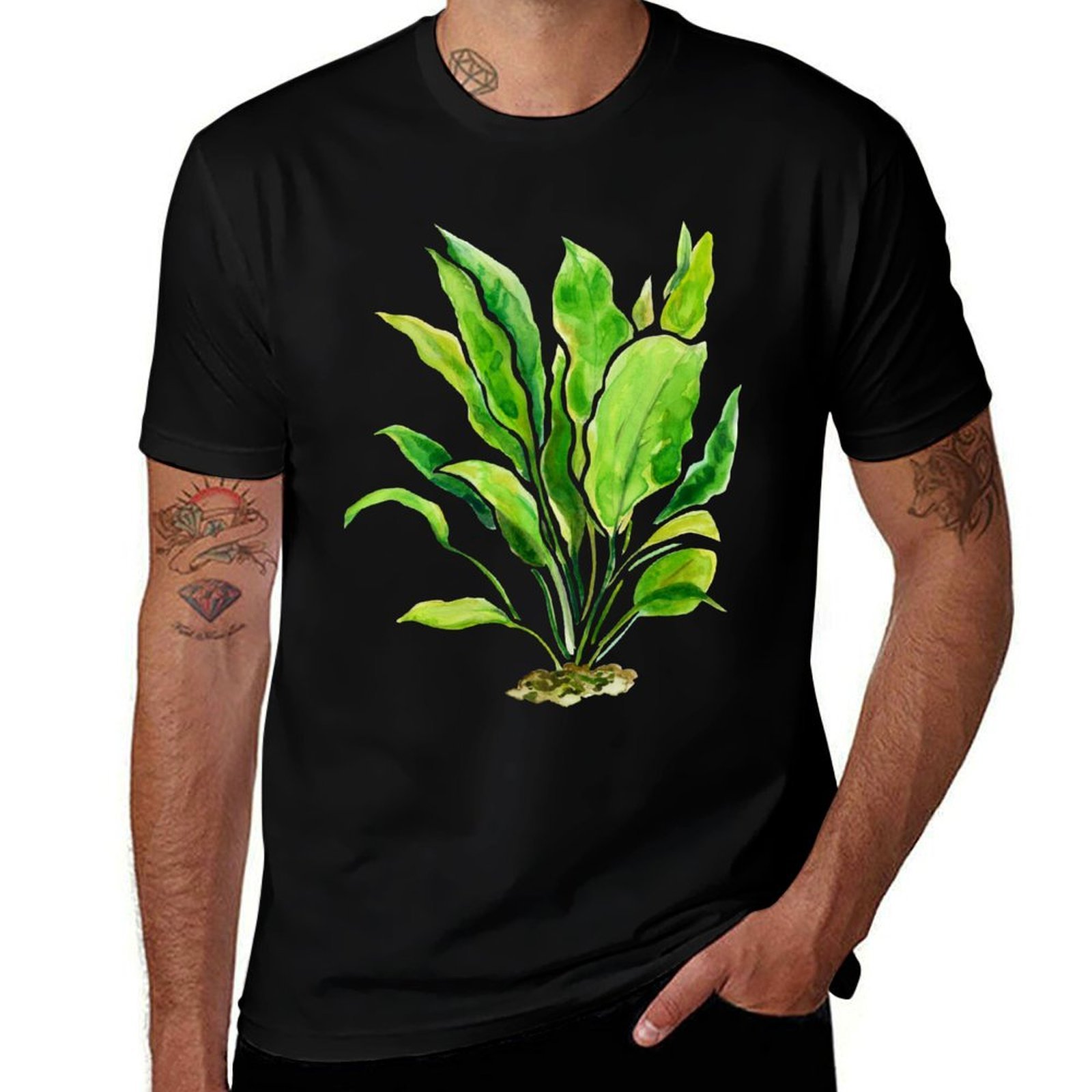 Aquarium Plants Series Amazon  - огляд і ціна Planted Aquarium Basics