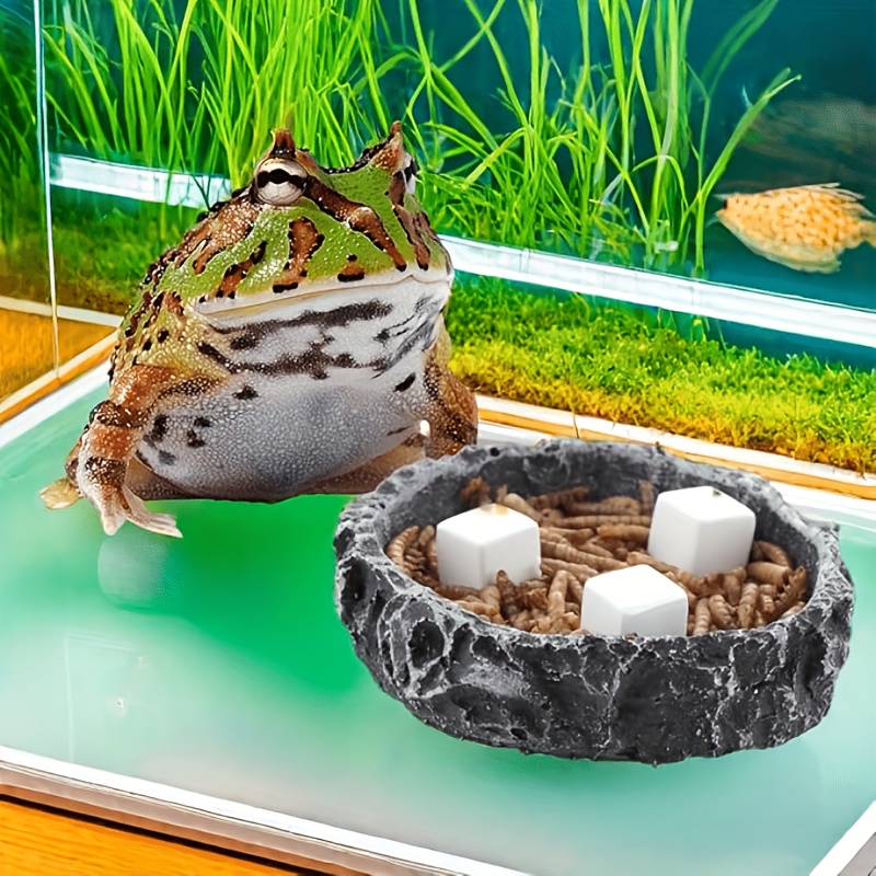 6 Pcs Fish Tank Calcium Block  - огляд і ціна Aquarium Plant Liquid Fertilizer